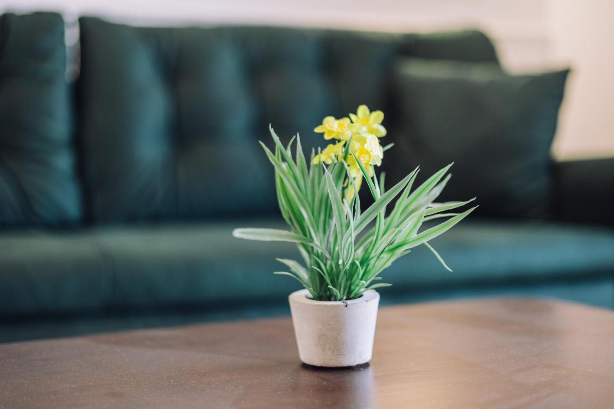 Barba Apartments أولتْسي المظهر الخارجي الصورة